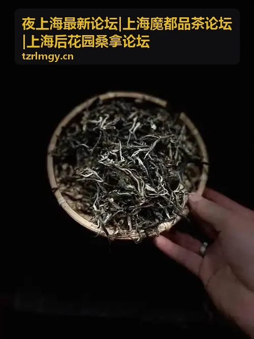 上海魔都品茶论坛桑拿推荐帖封面